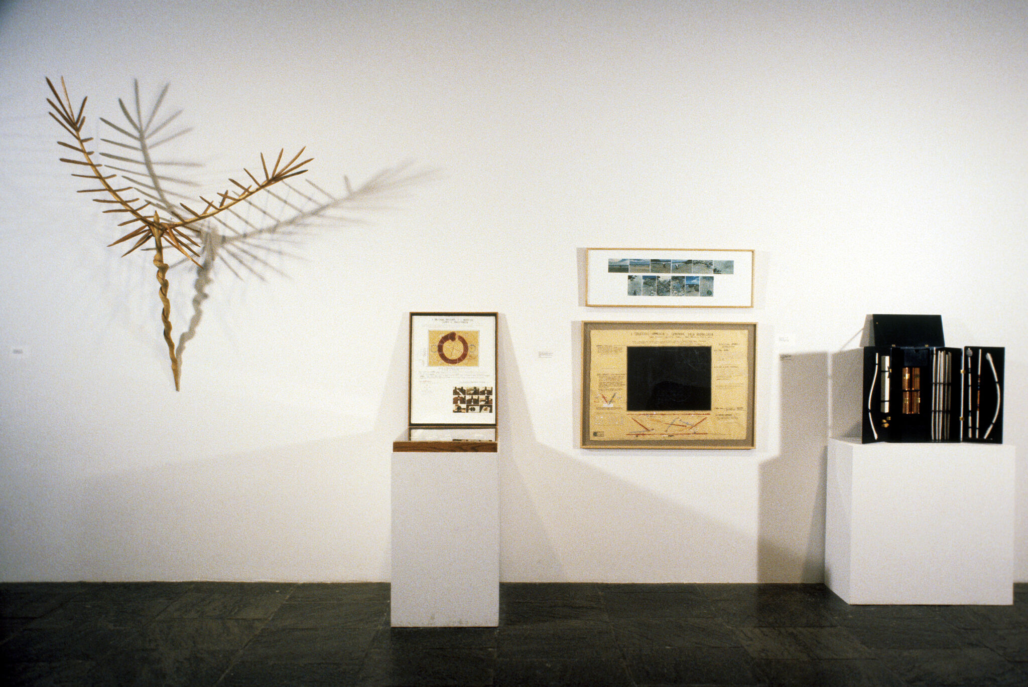 Works of art in a gallery.