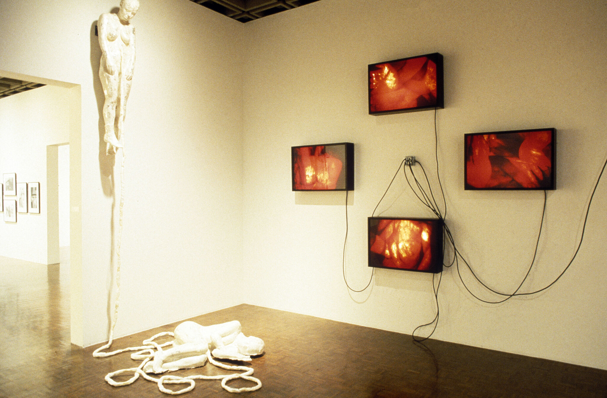 Works of art in a gallery.