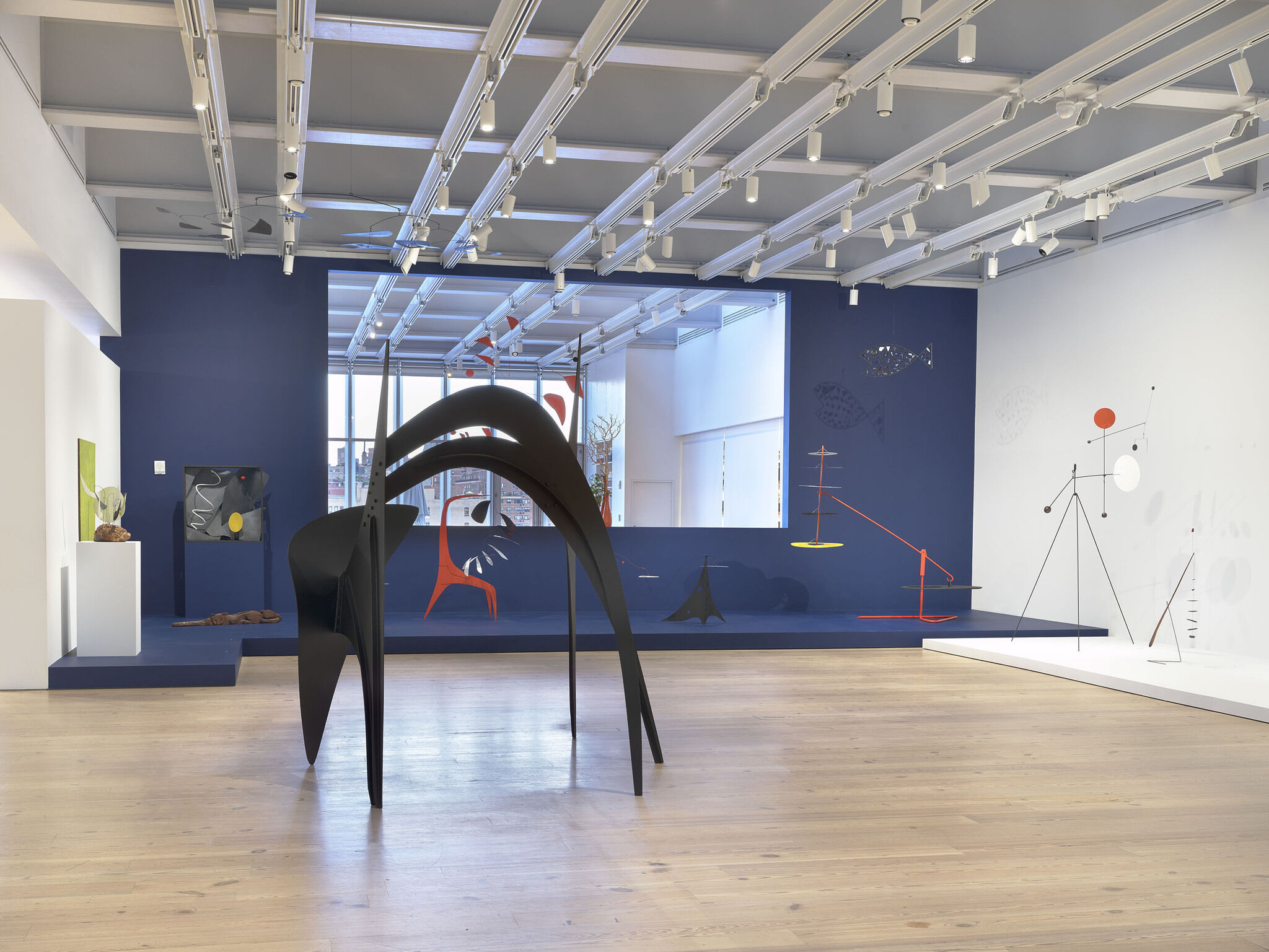 Gallery view of Calder: Hypermobility 