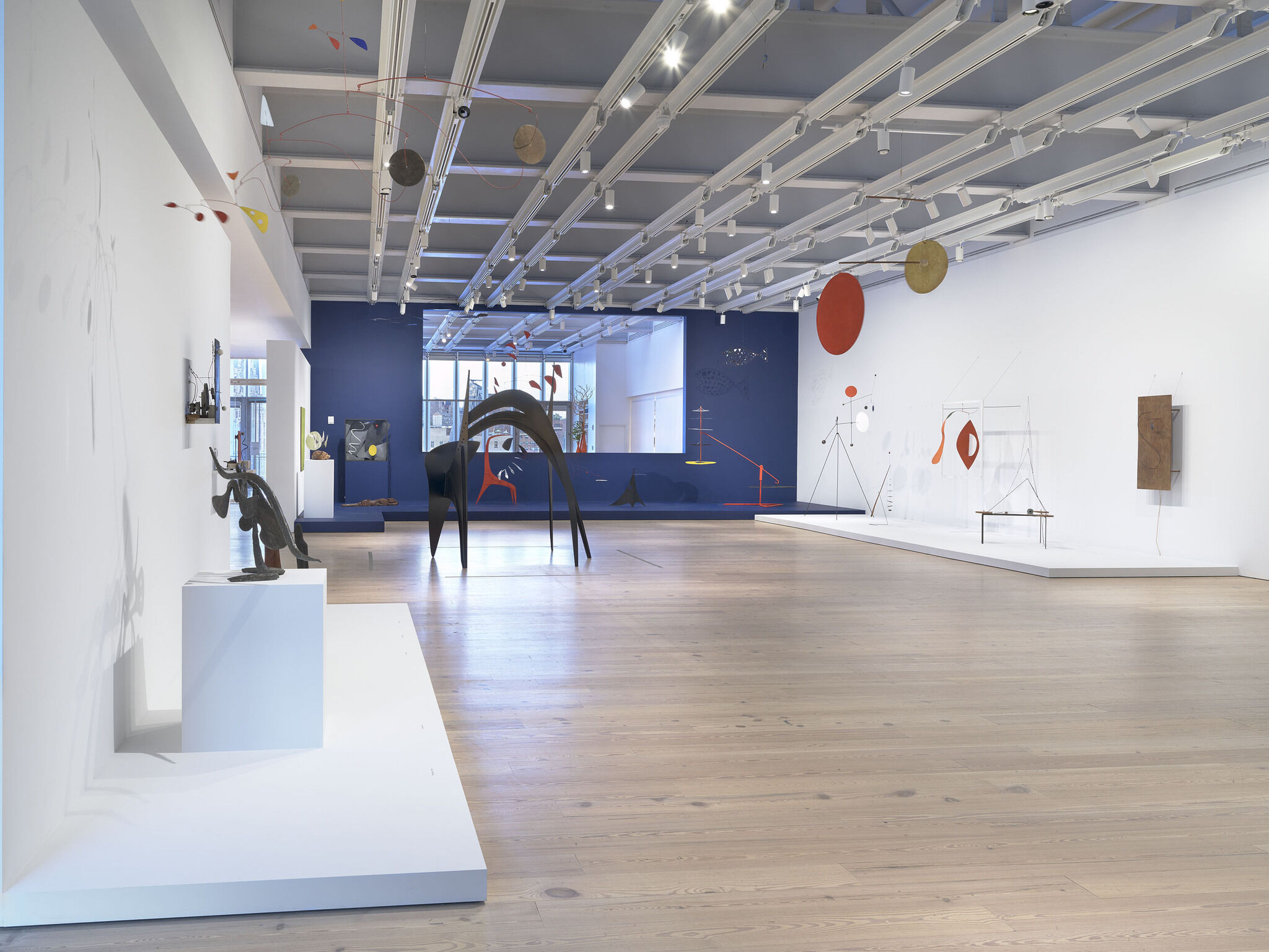Gallery view of Calder: Hypermobility 