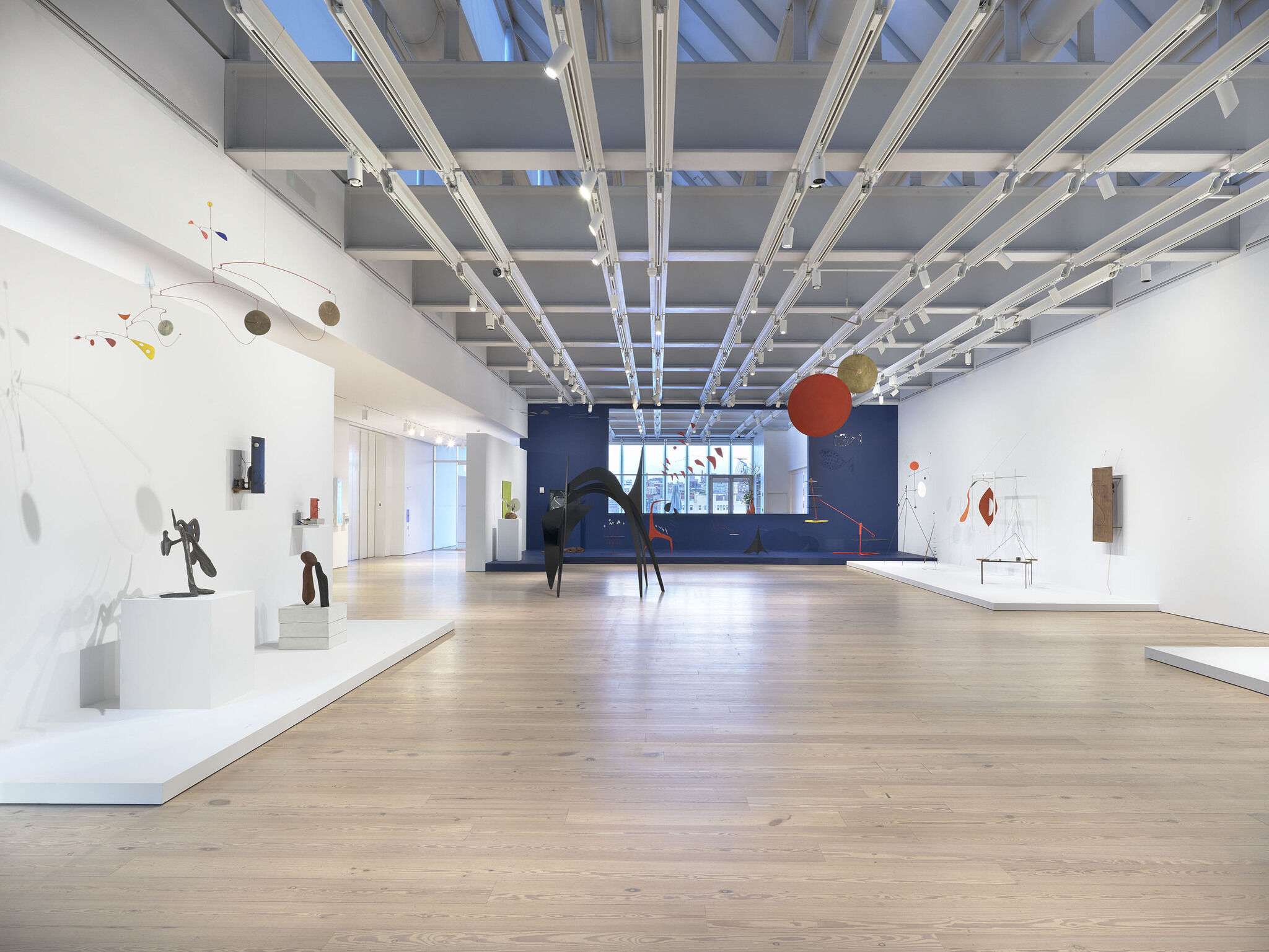 Gallery view of Calder: Hypermobility 