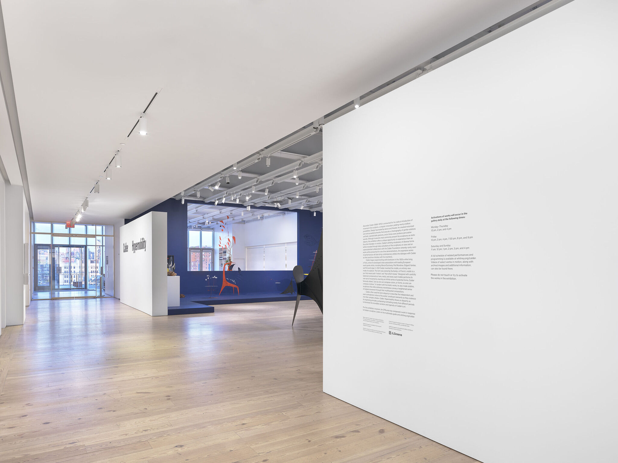Gallery view of Calder: Hypermobility 