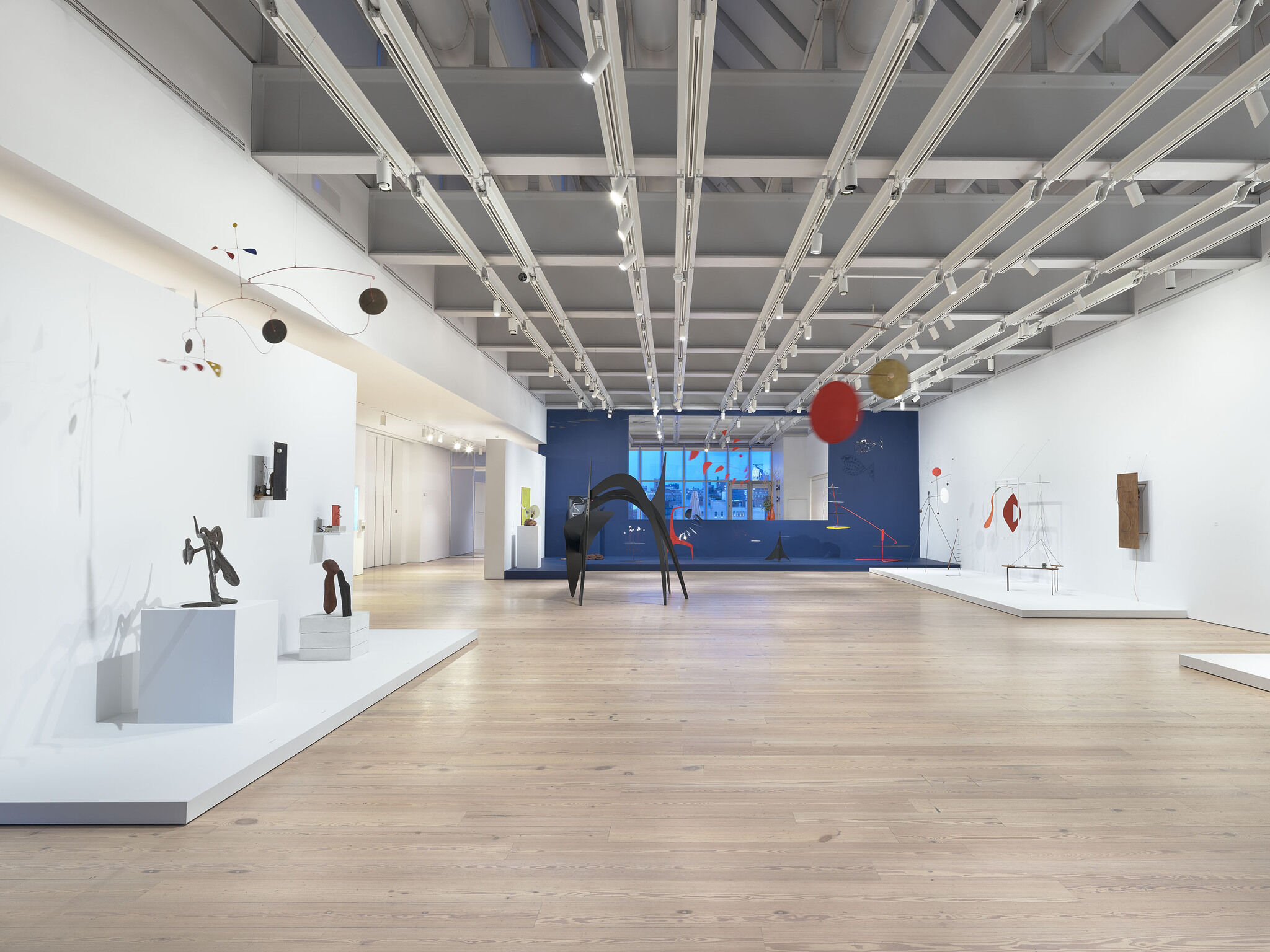 Gallery view of Calder: Hypermobility 