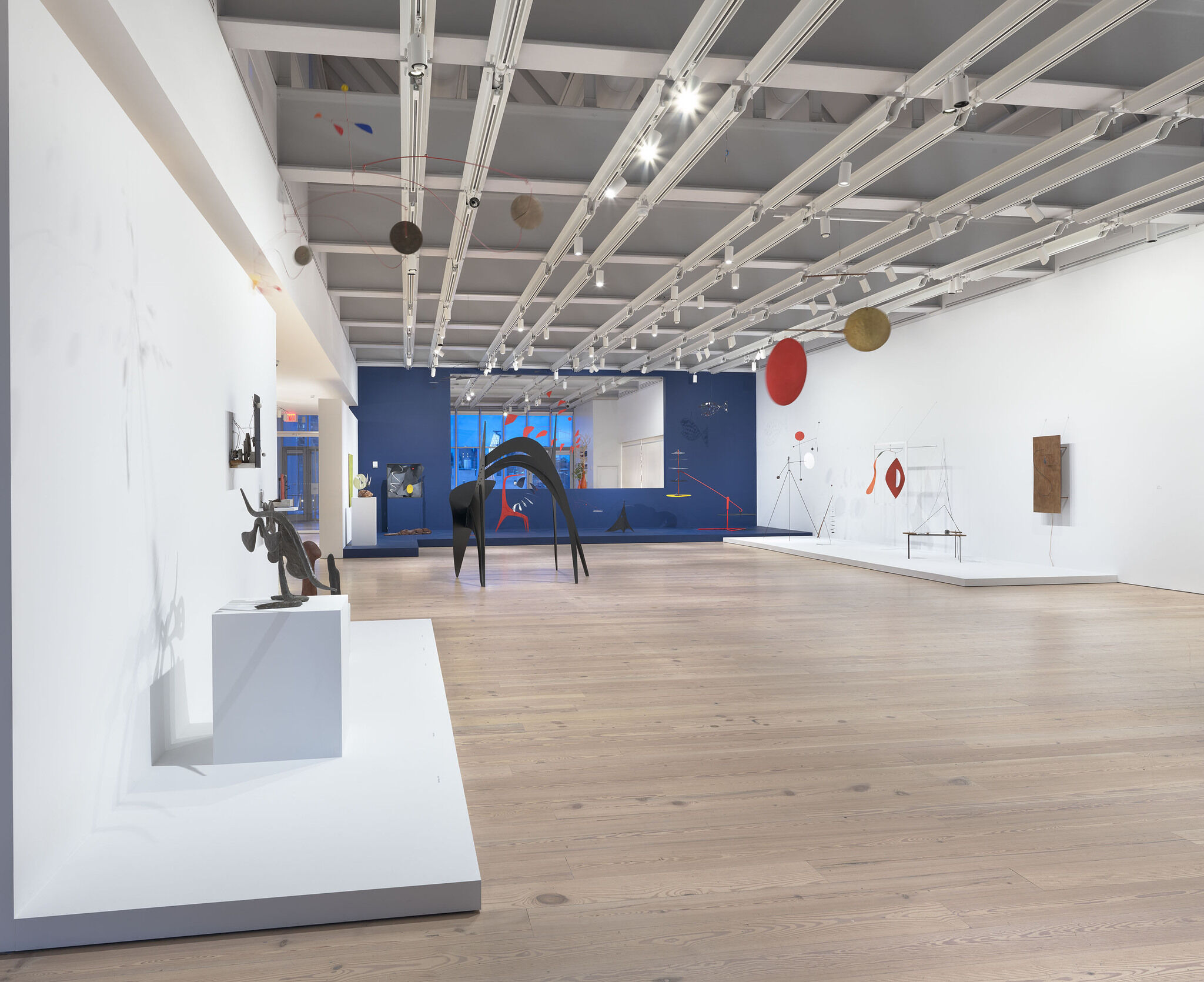 Gallery view of Calder: Hypermobility 